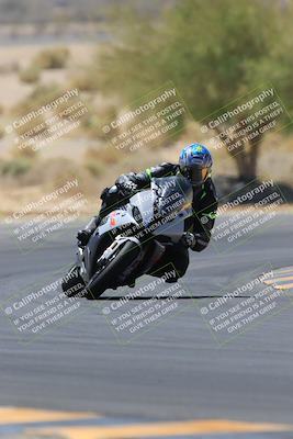 media/May-14-2023-SoCal Trackdays (Sun) [[024eb53b40]]/Turn 5 Tree of Life (1125am)/